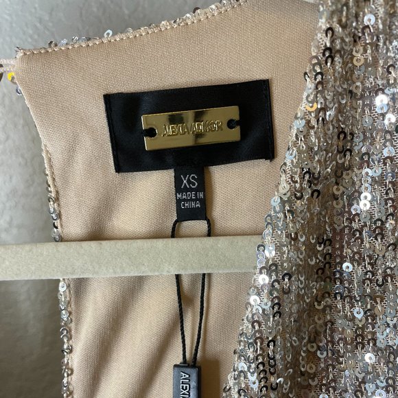 Silver Sequin Mini Dress - Picture 13 of 16